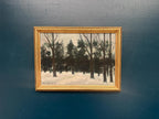 “Forest” by Paul Hansen