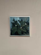 “White Blossoms” by M. Jakobsson