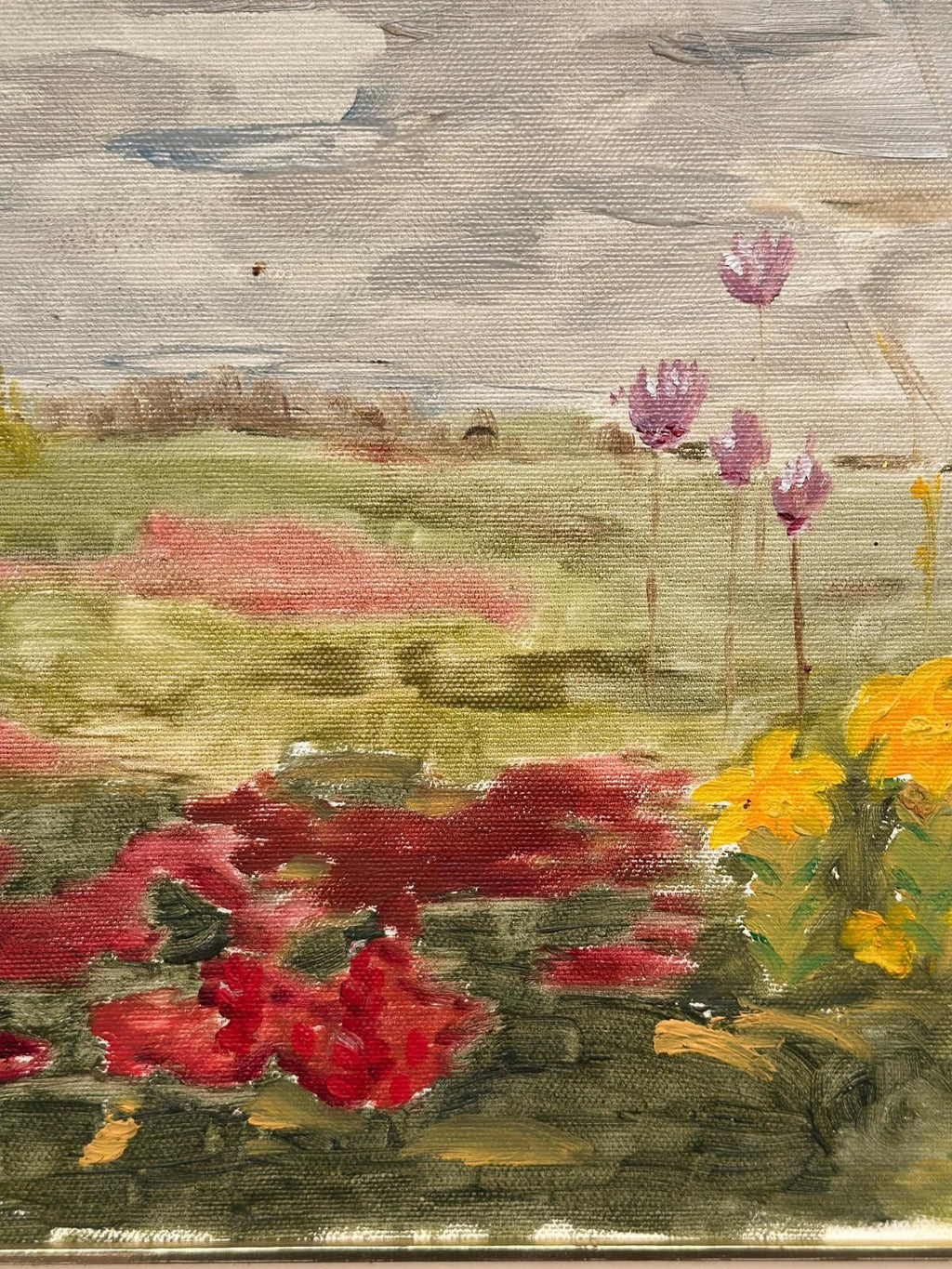 “Wild Flowers in Meadow”