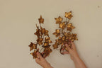 Pair of Mid-Century Italian Gilded Sconces By Florentia