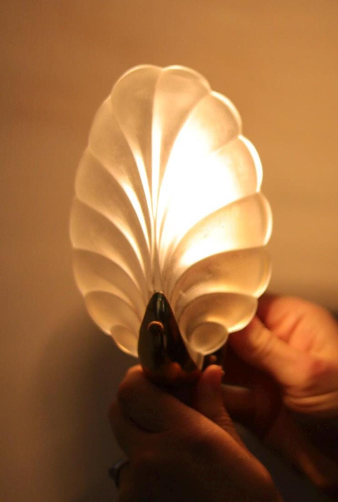 Pair of Art Deco Brass & Glass Shell Wall Lamps – Denmark, 1930s – Rewired, Working, E14