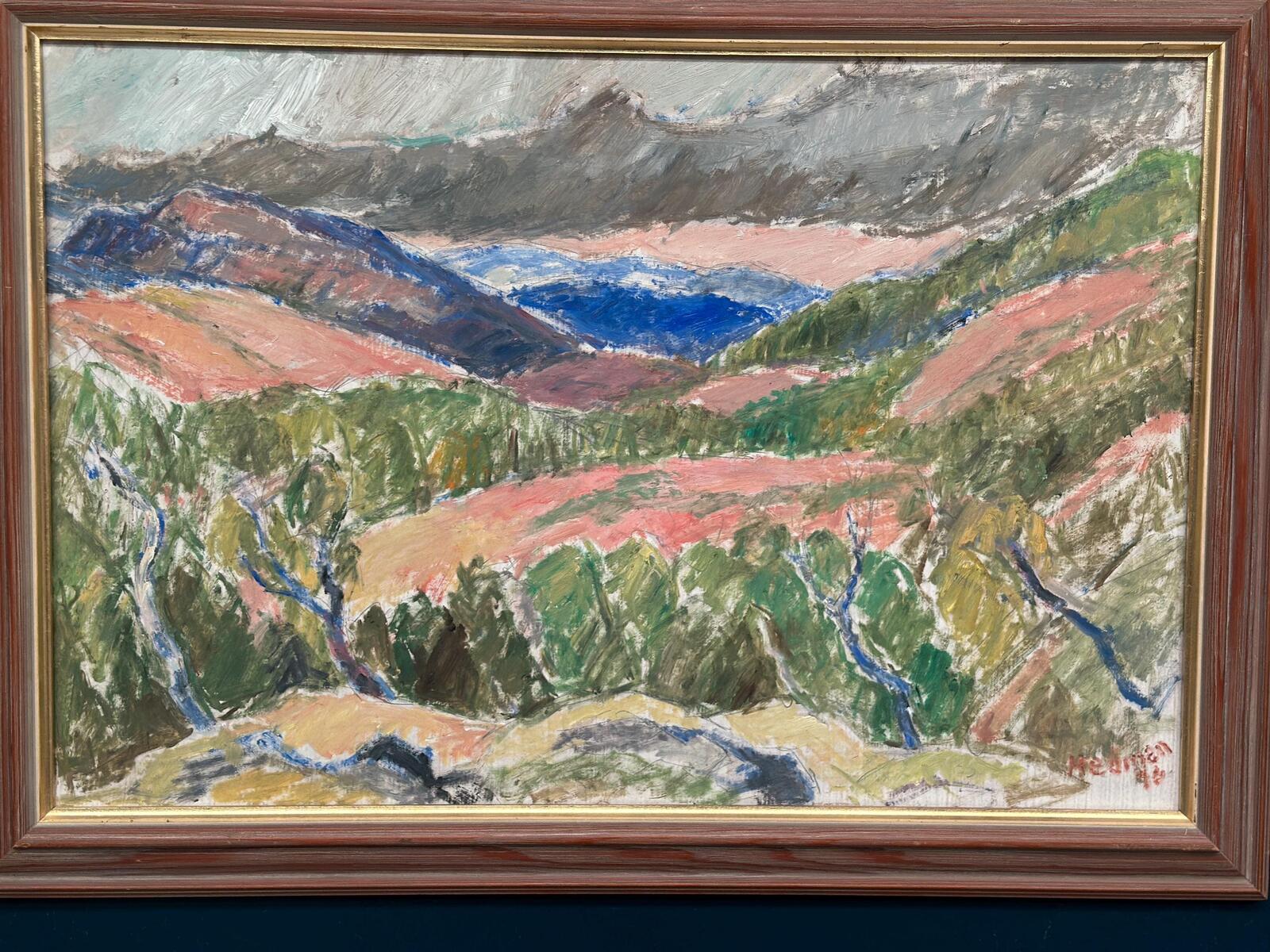 Jämtland by John Hedman