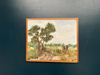 Rural Landscape