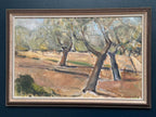 “Olive Trees” by Bruno Fagerlund