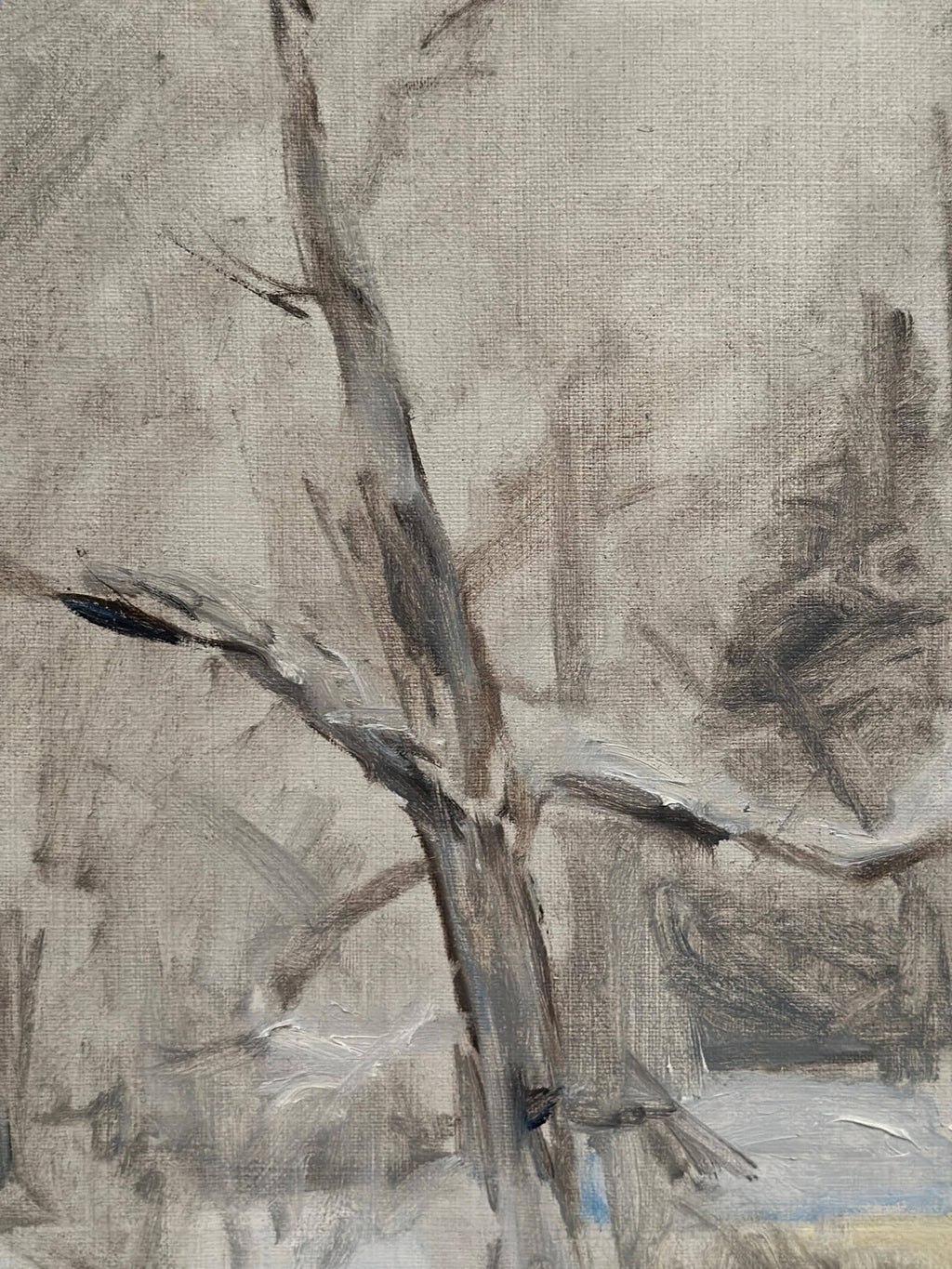 “Winter Trees” by Kj. Shemlot