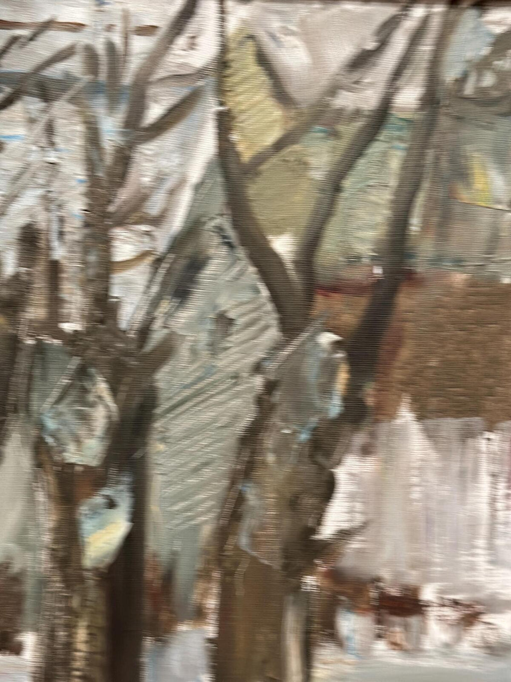 Winter Forest