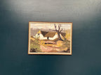 “Farmhouse” by Jörgen Bruun