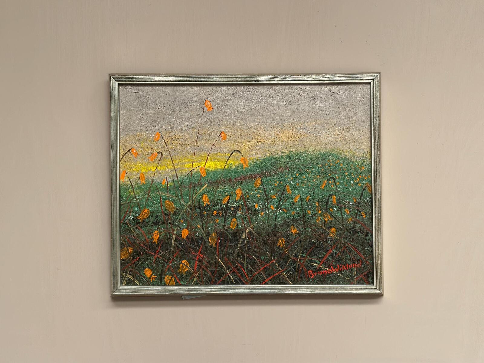 “Bryum argenteum” by Bruno Wiklund