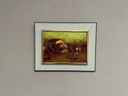 Rural Landscape