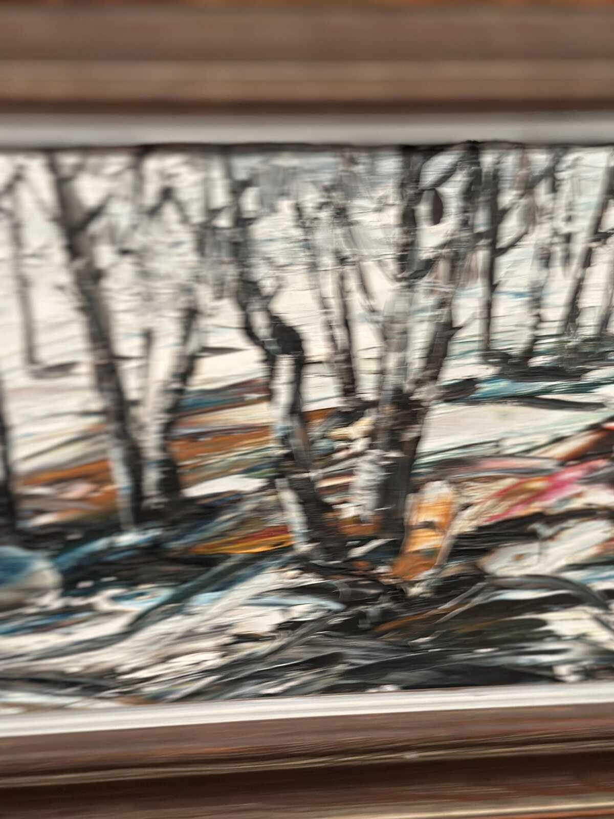 Forest in Winter