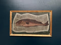 “Fish” by Gerald
