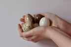 Marble/Onyx/Fossil Eggs Noah Ancienne