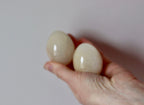 Marble/Onyx/Fossil Eggs Noah Ancienne