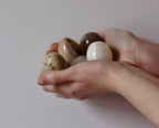 Marble/Onyx/Fossil Eggs Noah Ancienne