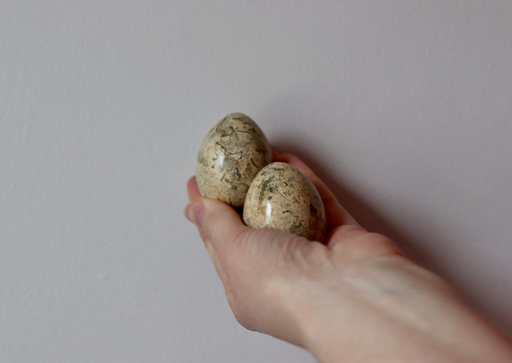 Marble/Onyx/Fossil Eggs Noah Ancienne