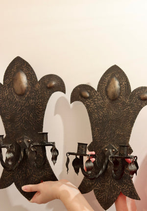 Descriptive image text