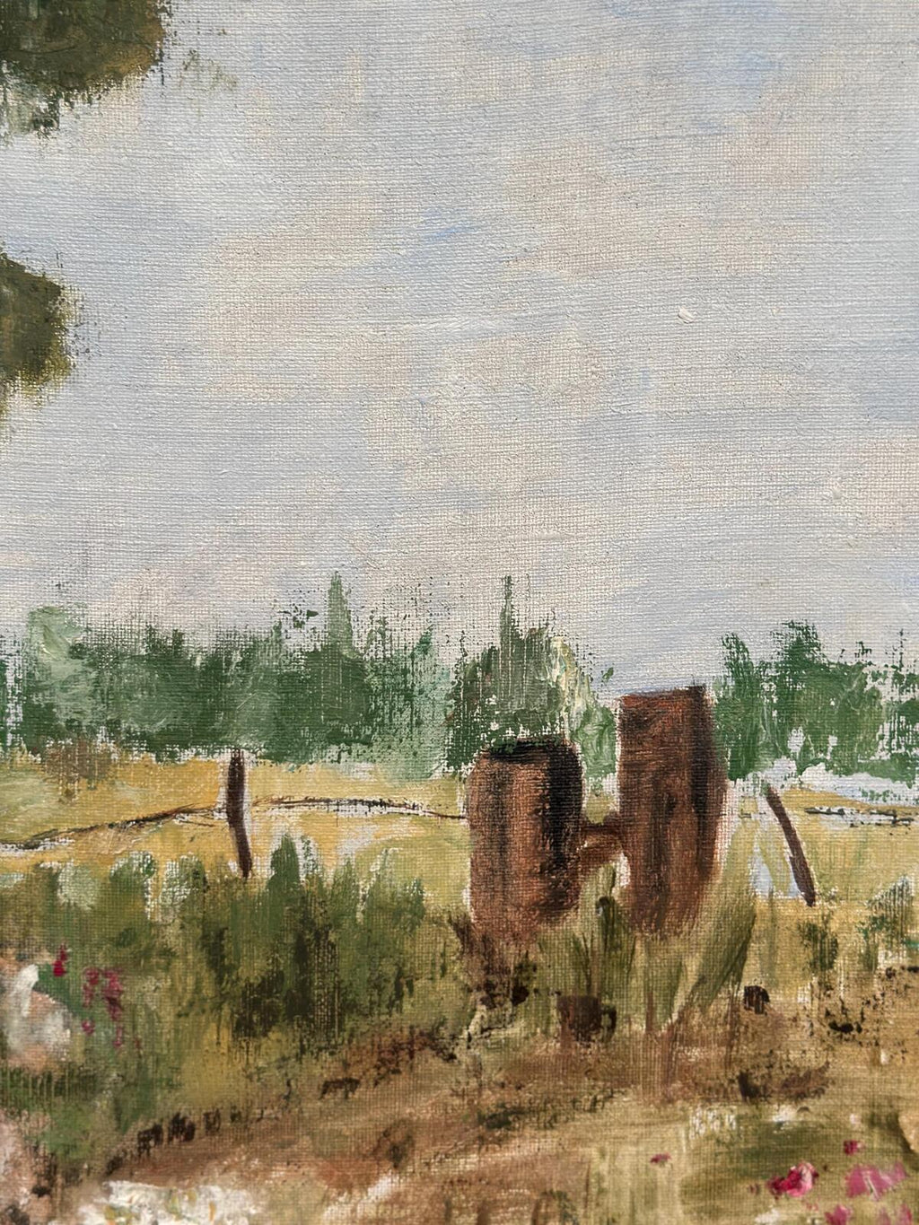 Rural Landscape