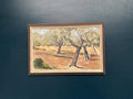 “Olive Trees” by Bruno Fagerlund