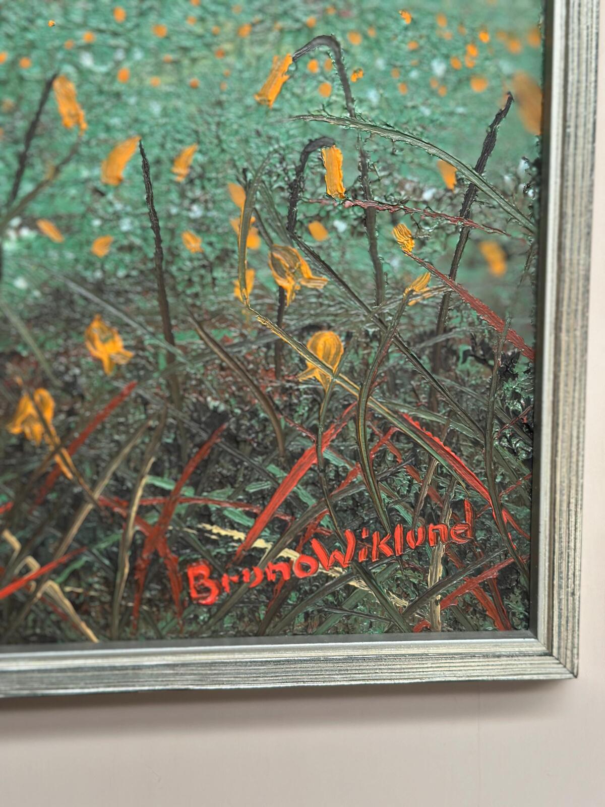 “Bryum argenteum” by Bruno Wiklund