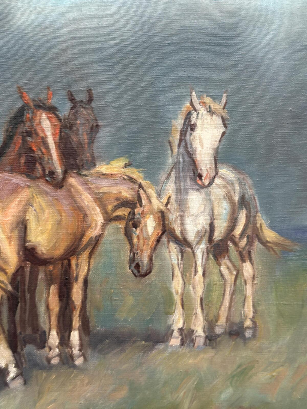 Horses