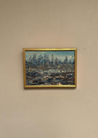 Rocky Coastline