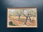 “Olive Trees” by Bruno Fagerlund