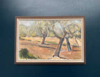 “Olive Trees” by Bruno Fagerlund