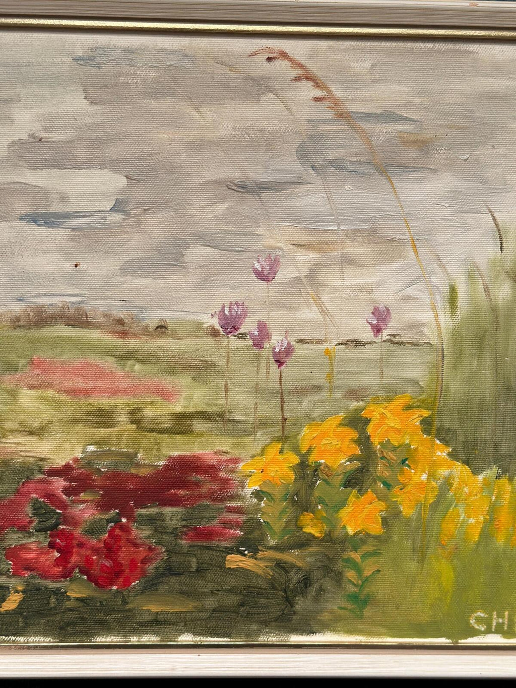 “Wild Flowers in Meadow”