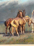 Horses