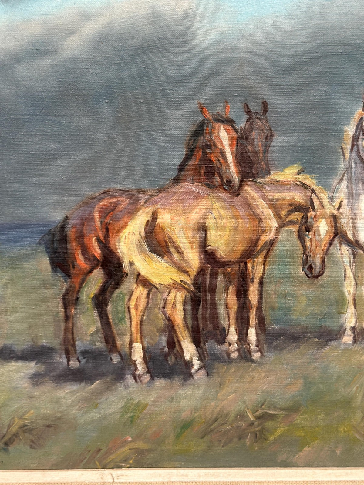 Horses