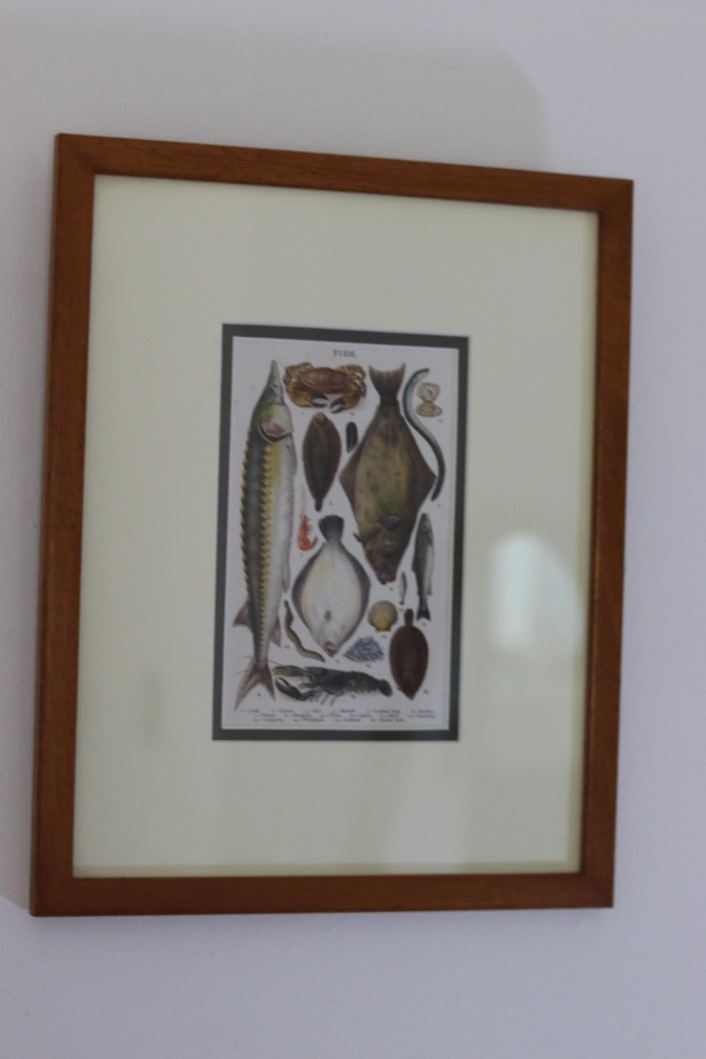 Victorian Set of Three Prints  "Still life - Antique Glazed & Framed