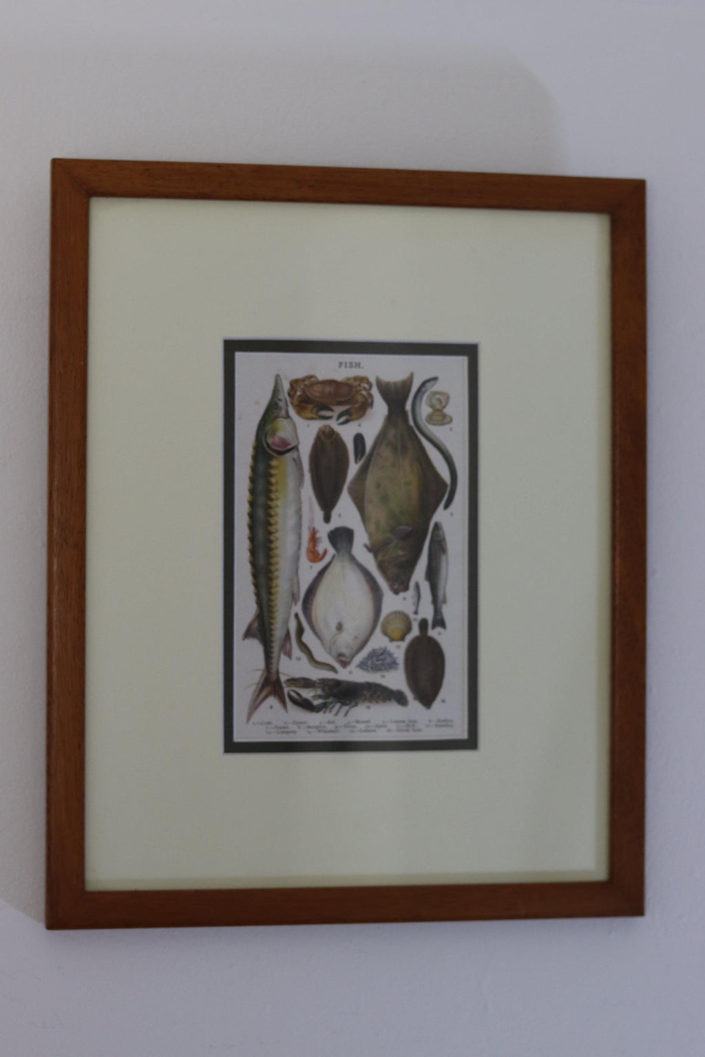 Victorian Set of Three Prints  "Still life - Antique Glazed & Framed