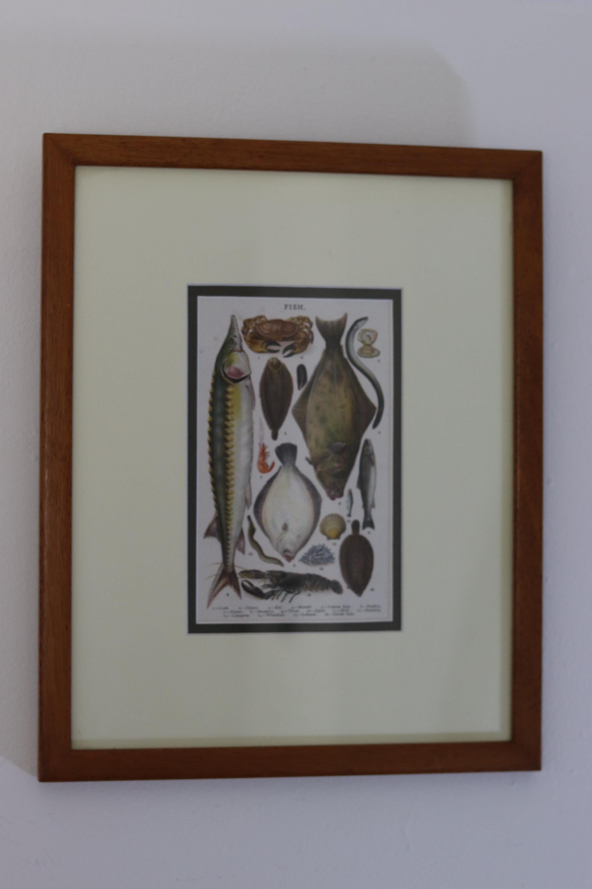Victorian Set of Three Prints  "Still life - Antique Glazed & Framed