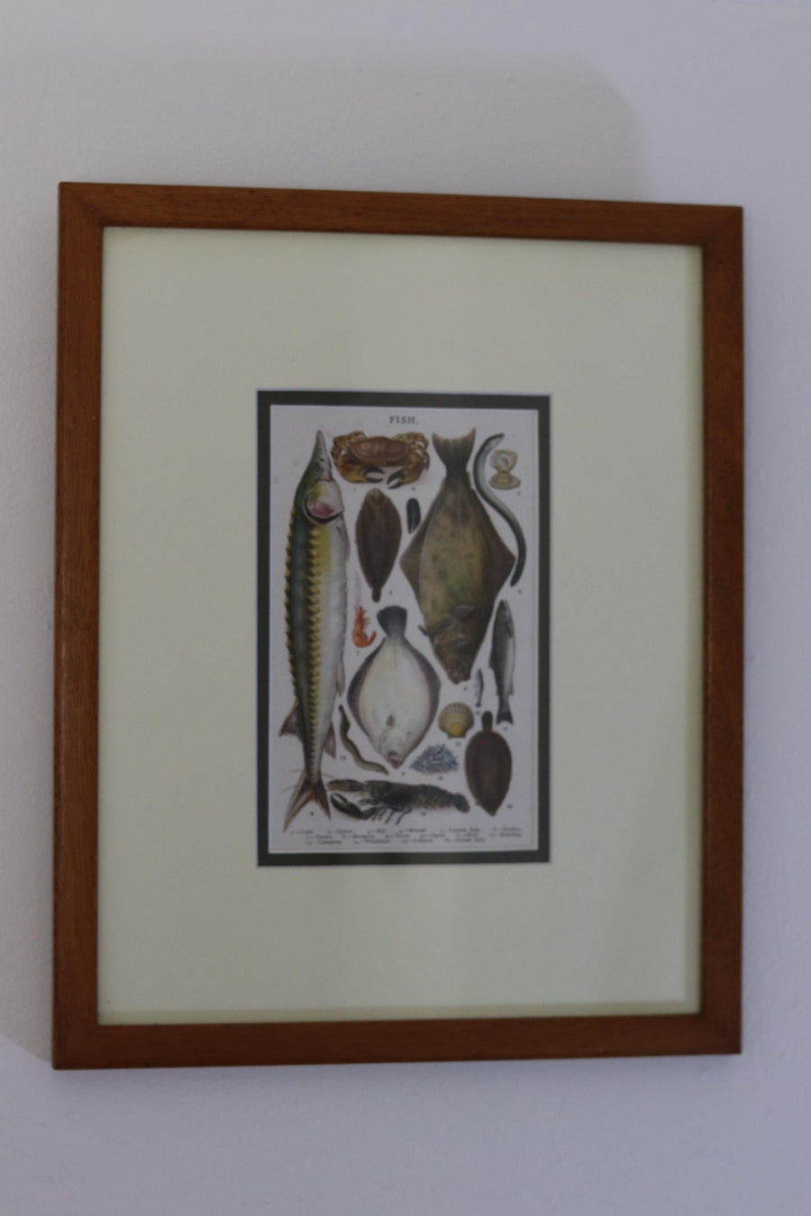Victorian Set of Three Prints  "Still life - Antique Glazed & Framed