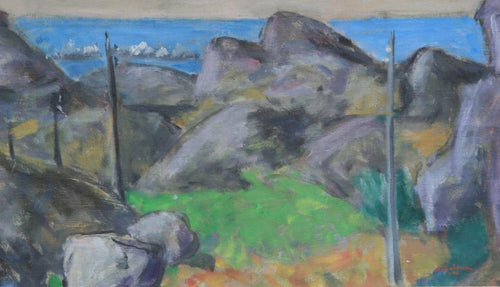 " Coastal Landscape " by Selim Soldan