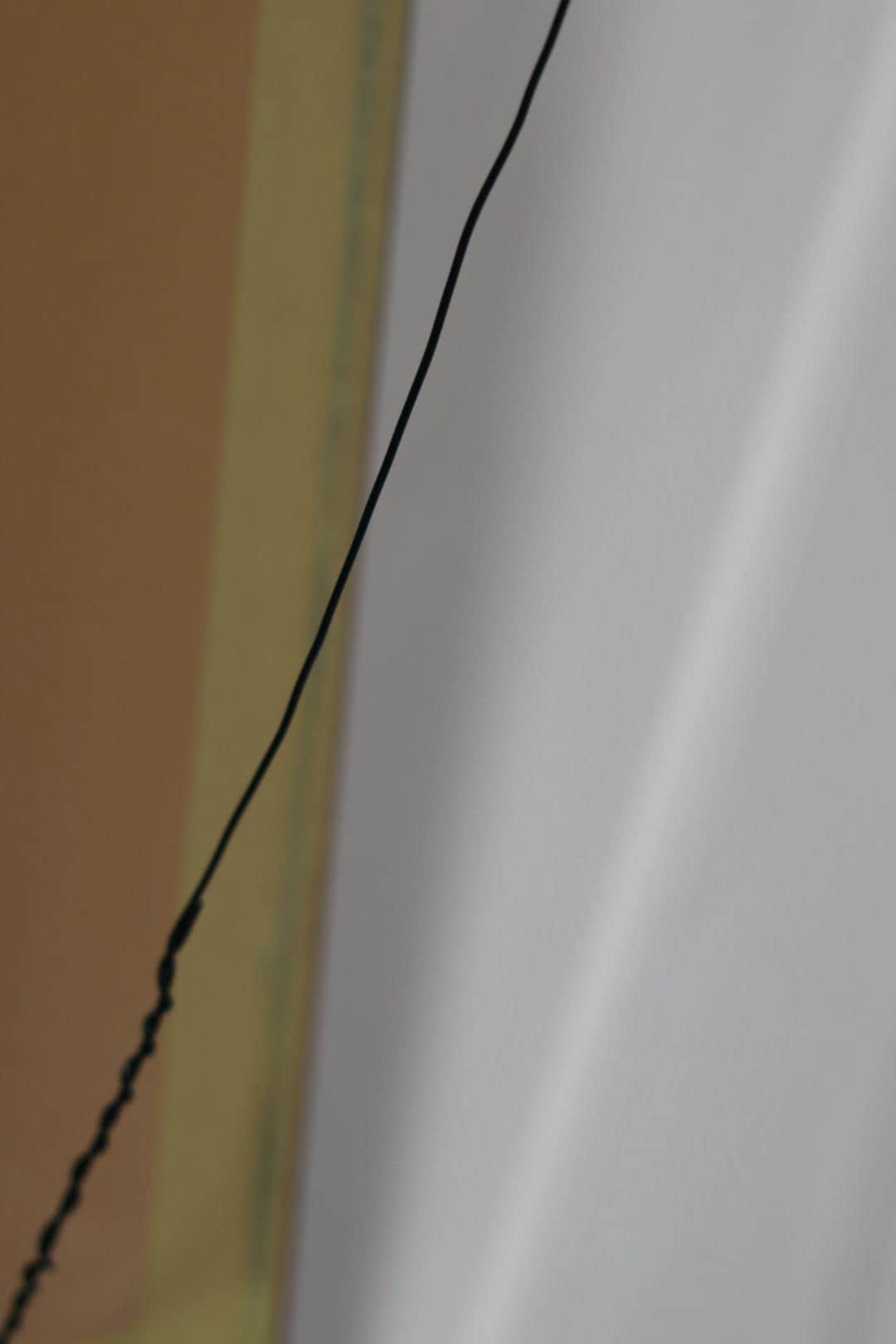 "Butterfly" by Robert Lendvay