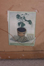 “Gingoväxt (Gingko Plant)” by Eric Alsmark, 1941