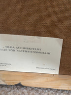 “Äppelblom” (Apple Blossom)  By Olga Aue‑Birkfeldt