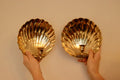 Pair of Mid-Century Brass Scallop Shell Sconces
