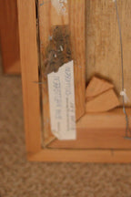 “Fruit” by Eva Mellgren