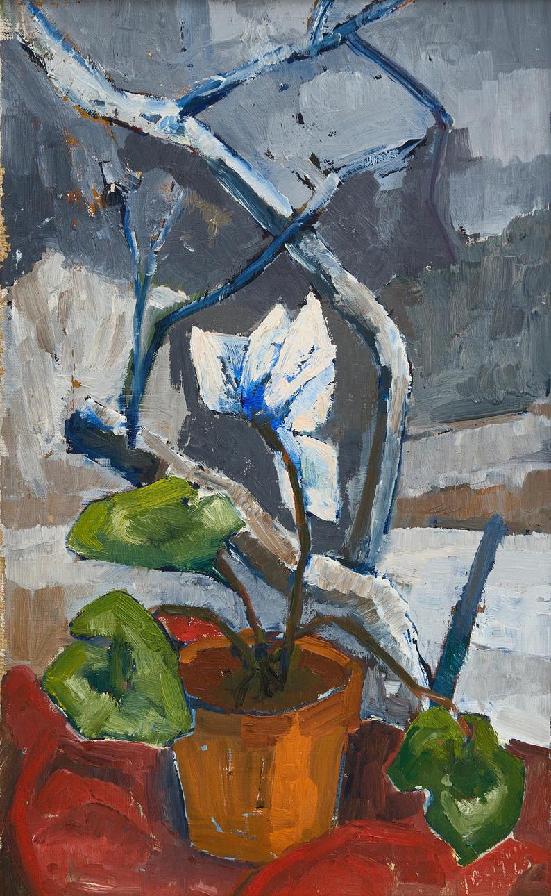 “Winter Cyclamen” by Majken Bergvin