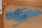 “Blue Berries” by Martin Kallerup