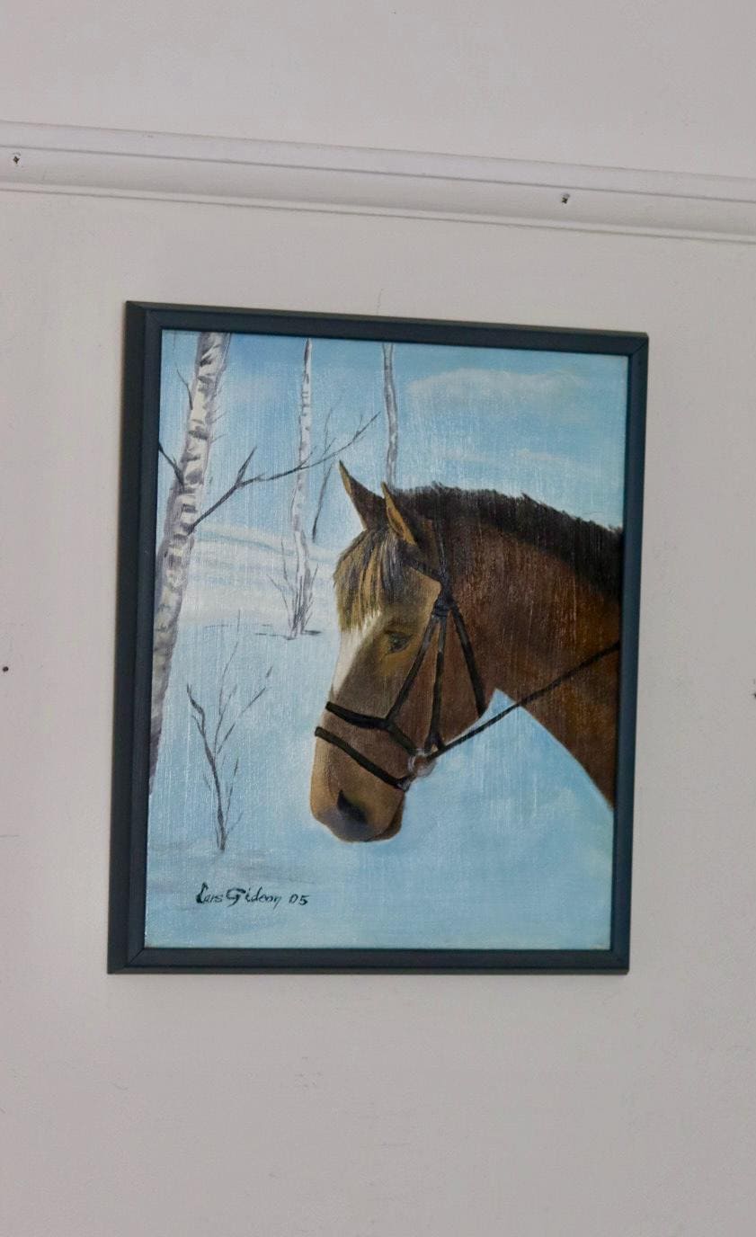 "HORSE IN SNOW" by Lars Gideon
