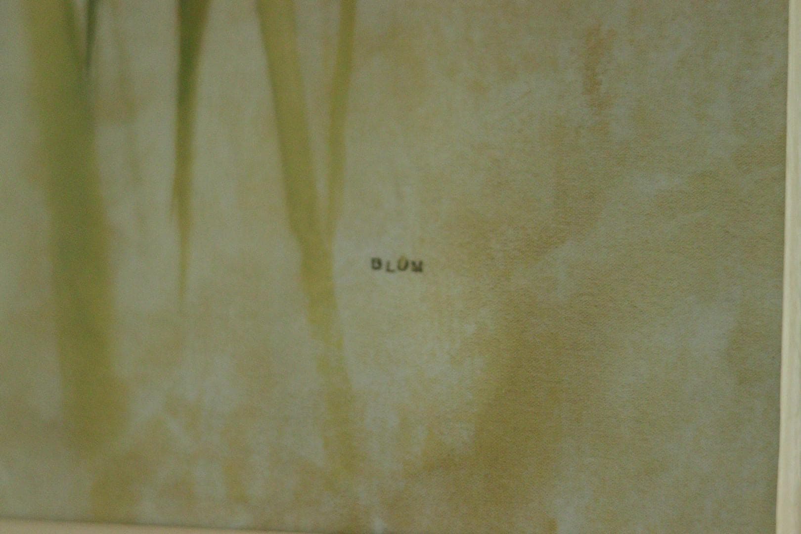 “Calla Lilies” by Blum