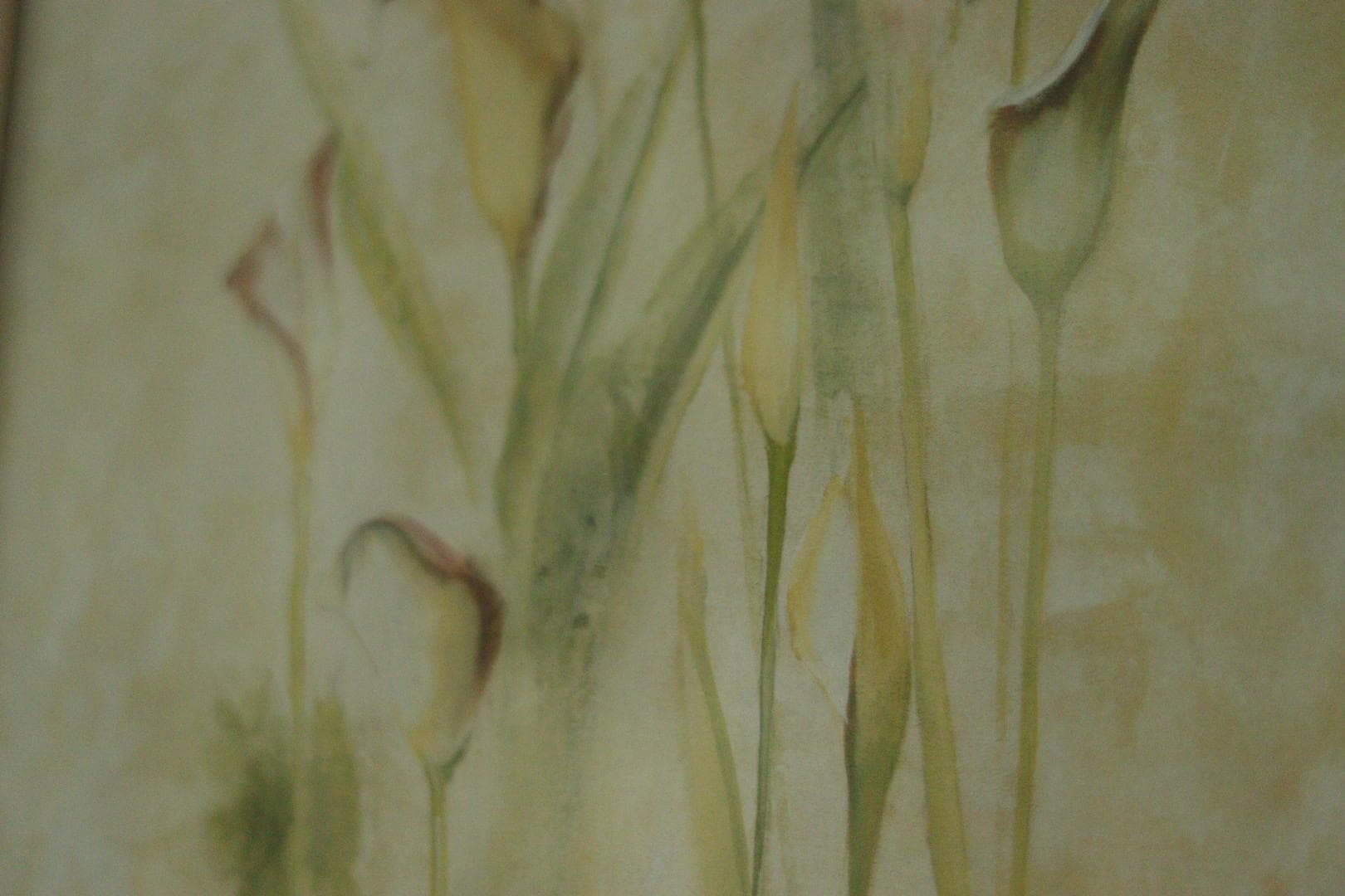 “Calla Lilies” by Blum