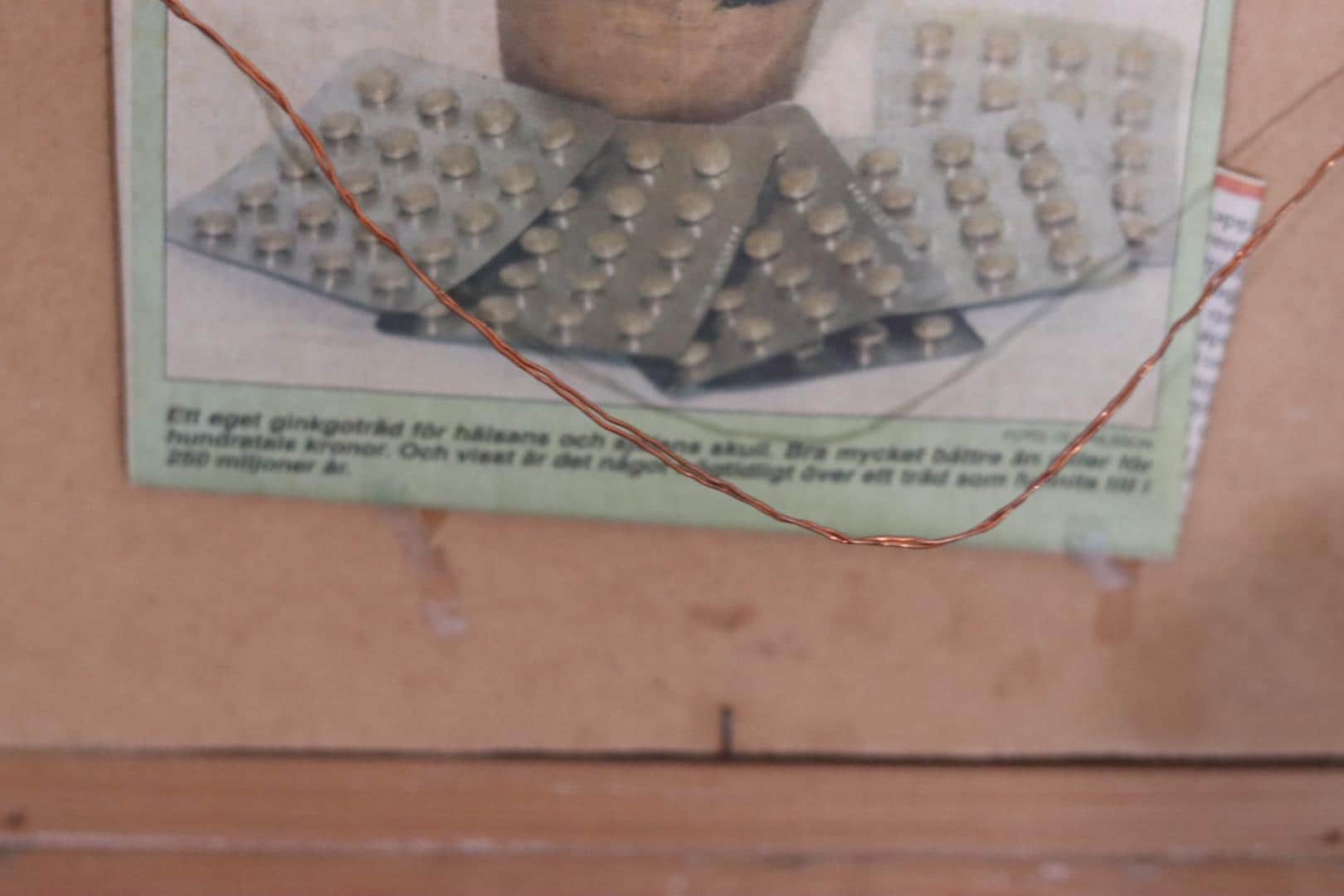 “Gingoväxt (Gingko Plant)” by Eric Alsmark, 1941