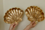 Vintage Scallop Capiz Shell Plate
