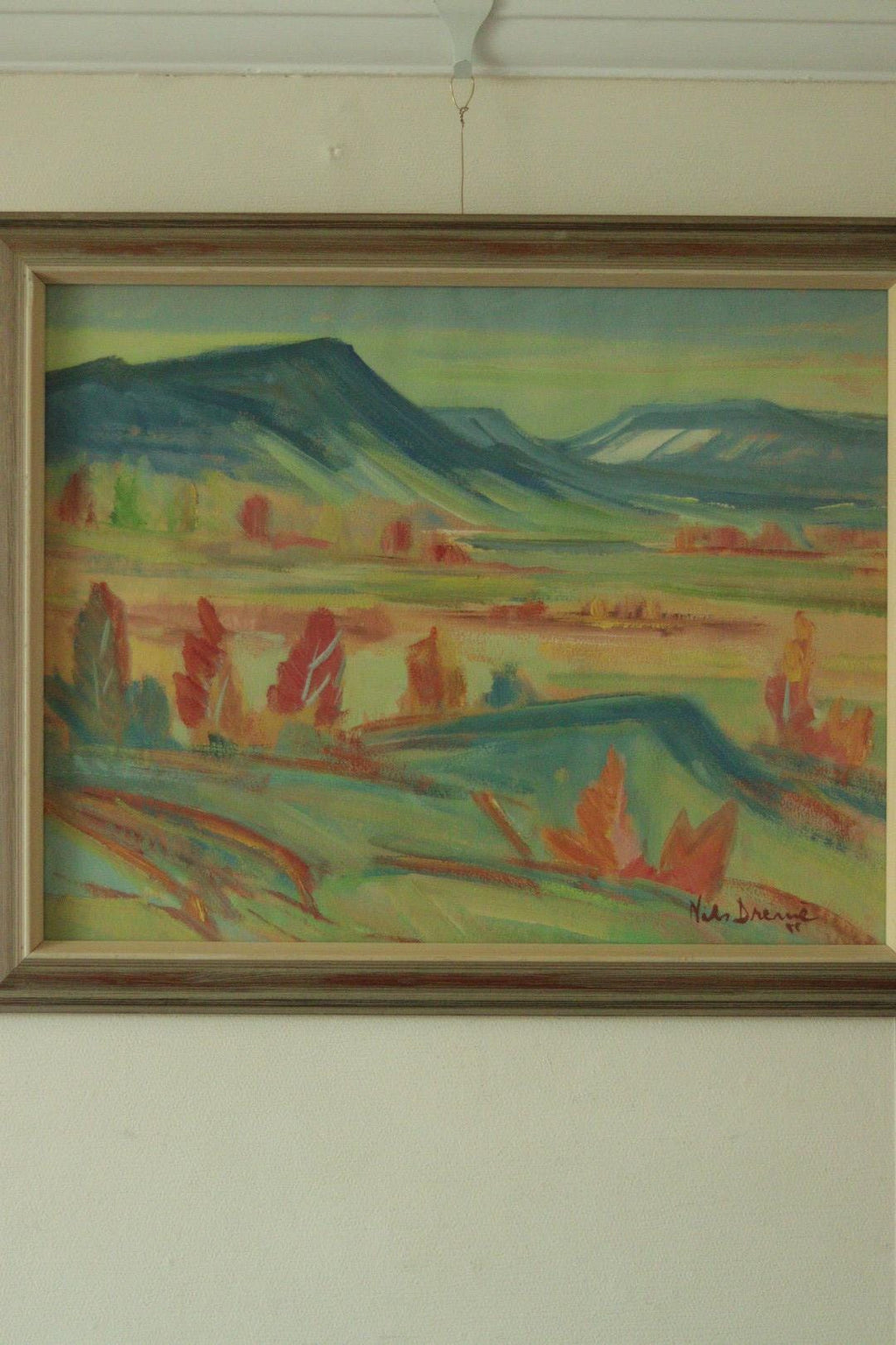 “Vibrant Landscape” by Nils Dremé