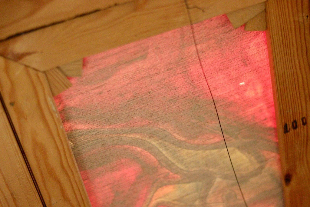 "Camels" by Henryk Rolinsky