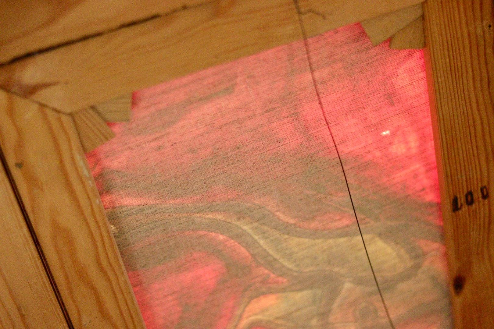 "Camels" by Henryk Rolinsky